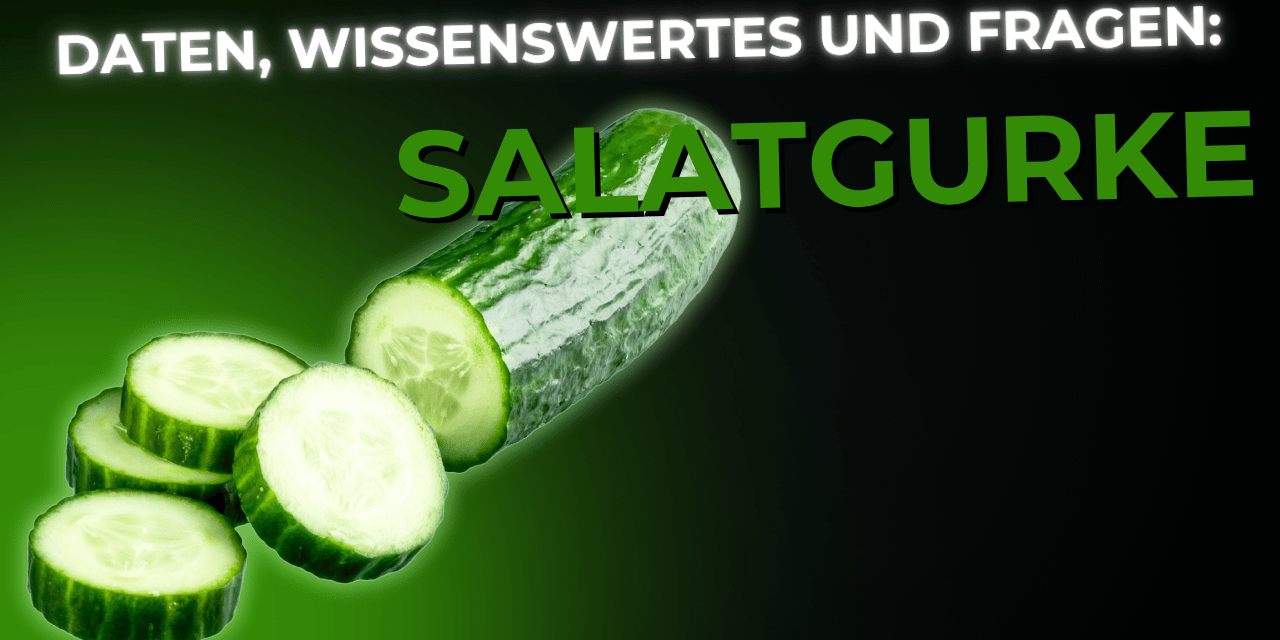 Lebensmittel-Wissen: die Salatgurke