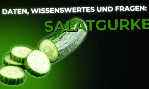 Lebensmittel-Wissen: die Salatgurke