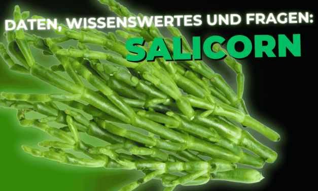 Lebensmittel-Wissen: Salicorn – Salzkraut