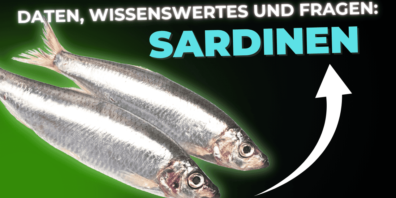 Lebensmittel-Wissen: Sardinen