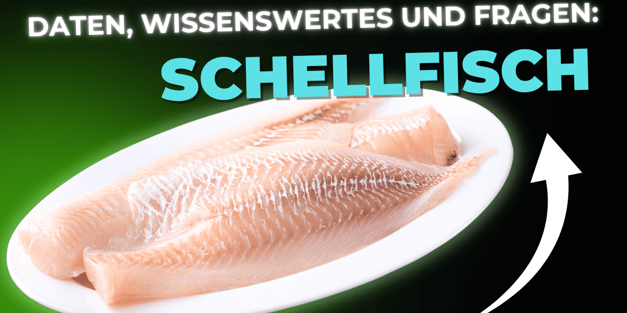 Lebensmittel-Wissen: Schellfisch