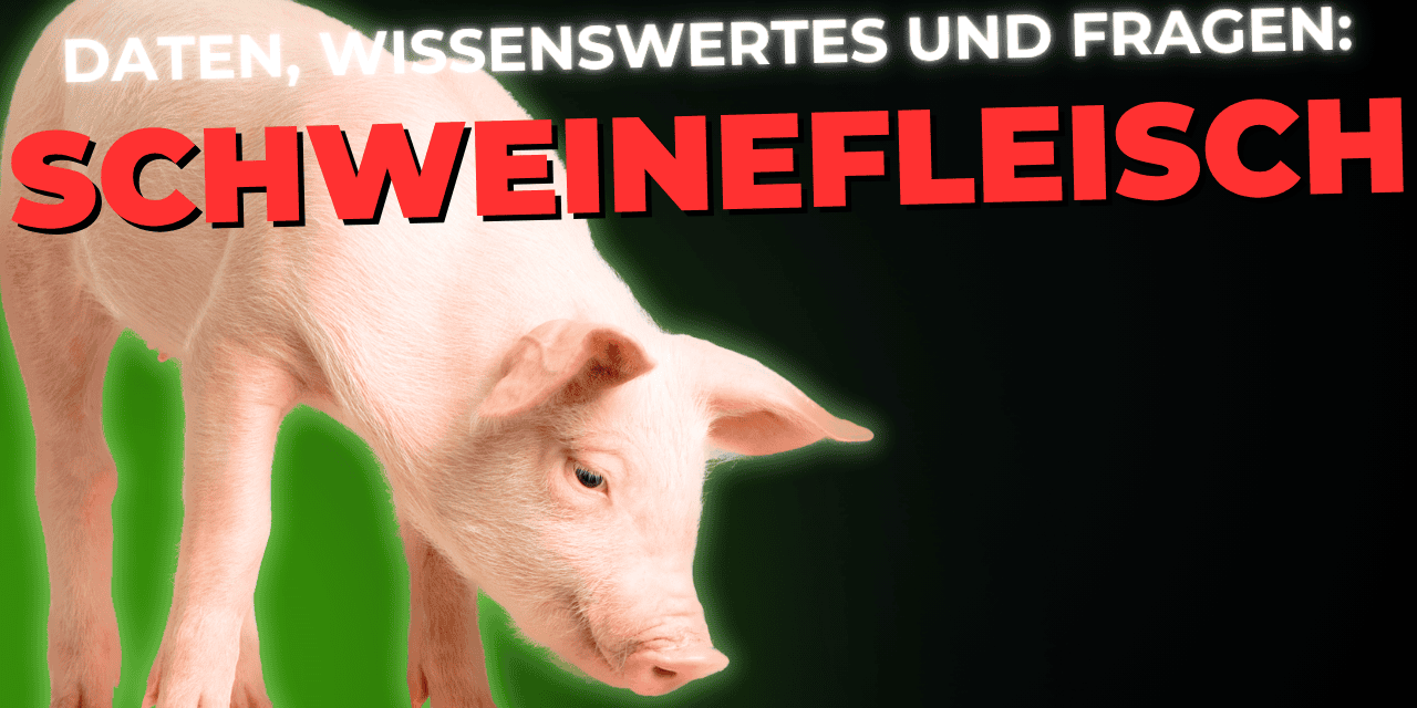 Lebensmittel-Wissen: Schweinefleisch