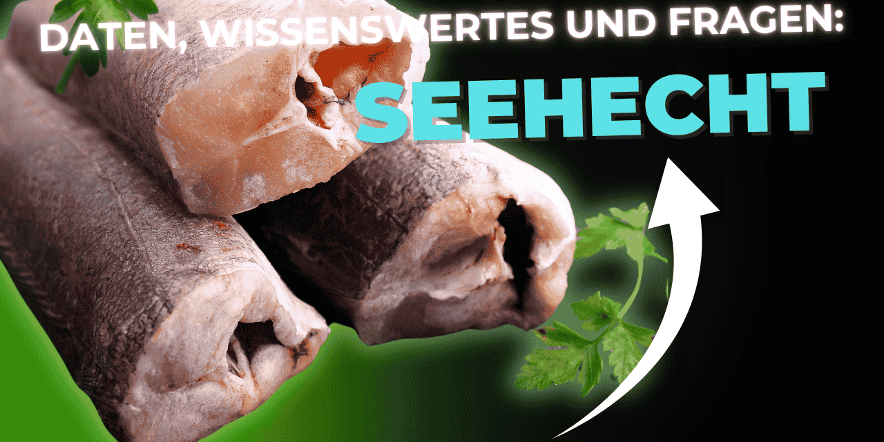 Lebensmittel-Wissen: der Seehecht