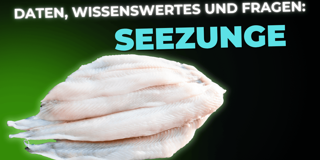 Lebensmittel-Wissen: die Seezunge