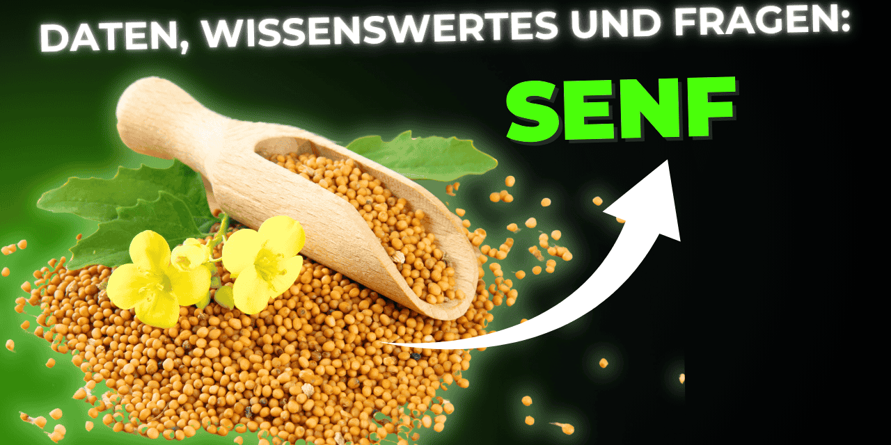 Lebensmittel-Wissen: Senfsaat