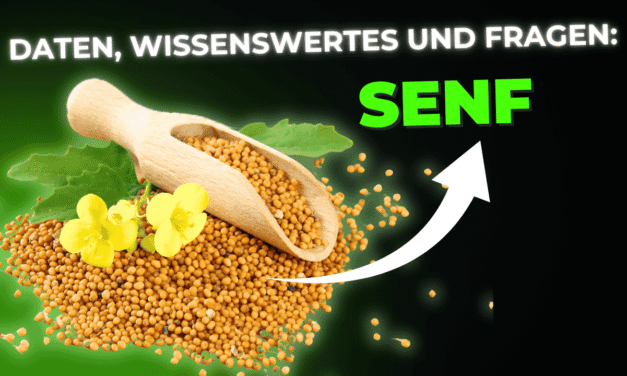 Lebensmittel-Wissen: Senfsaat