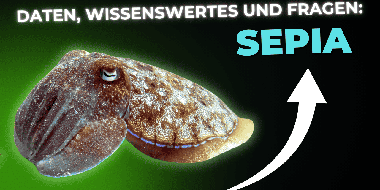 Lebensmittel-Wissen: Sepia