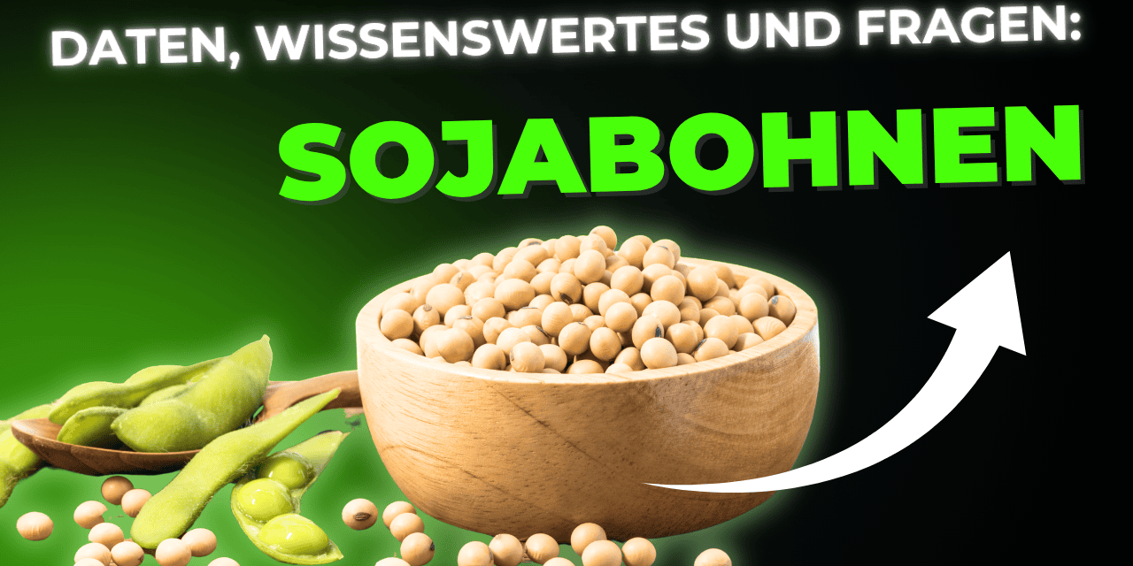 Lebensmittel-Wissen: Sojabohnen