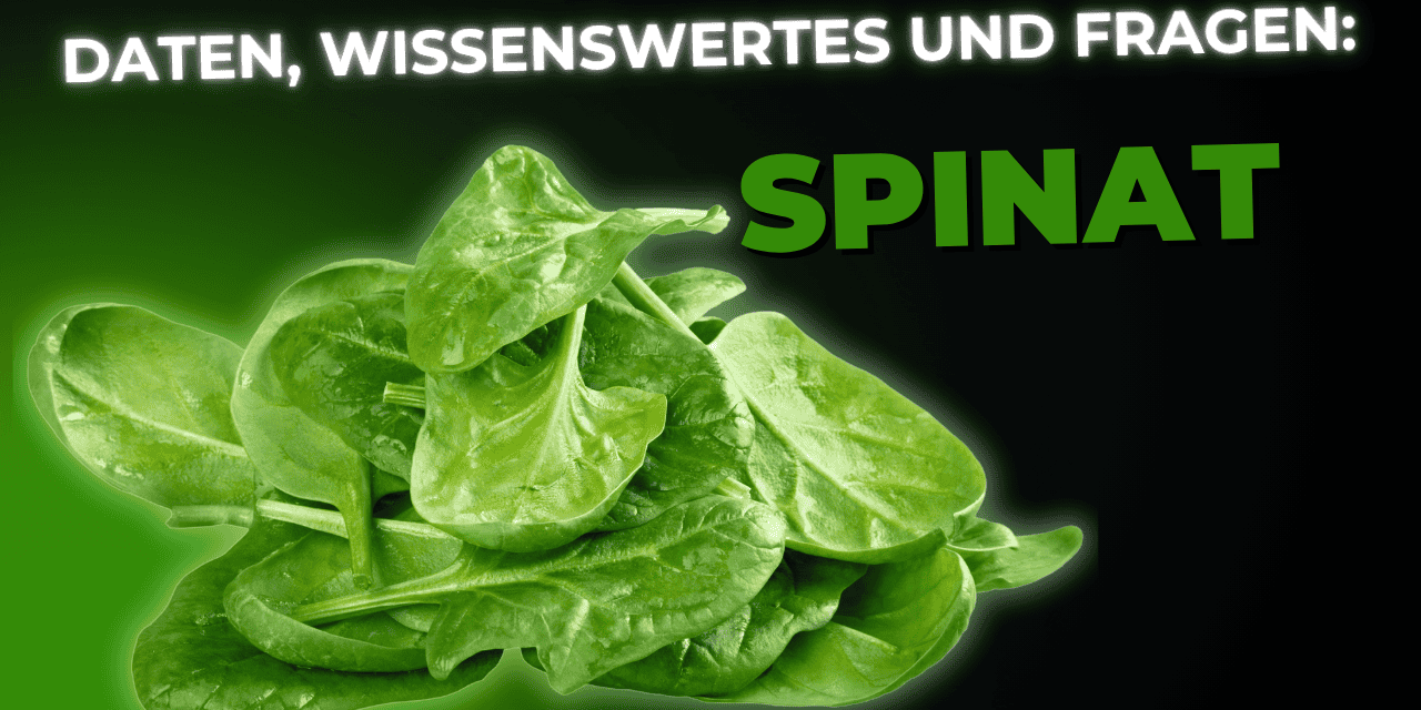 Lebensmittel-Wissen: Spinat