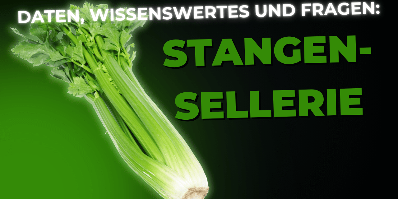Lebensmittel-Wissen: Stangensellerie