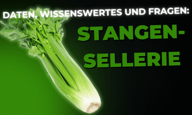 Lebensmittel-Wissen: Stangensellerie