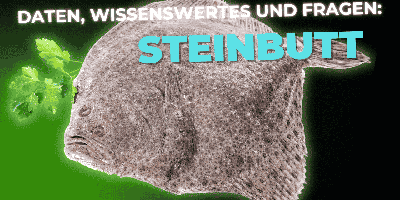 Lebensmittel-Wissen: der Steinbutt