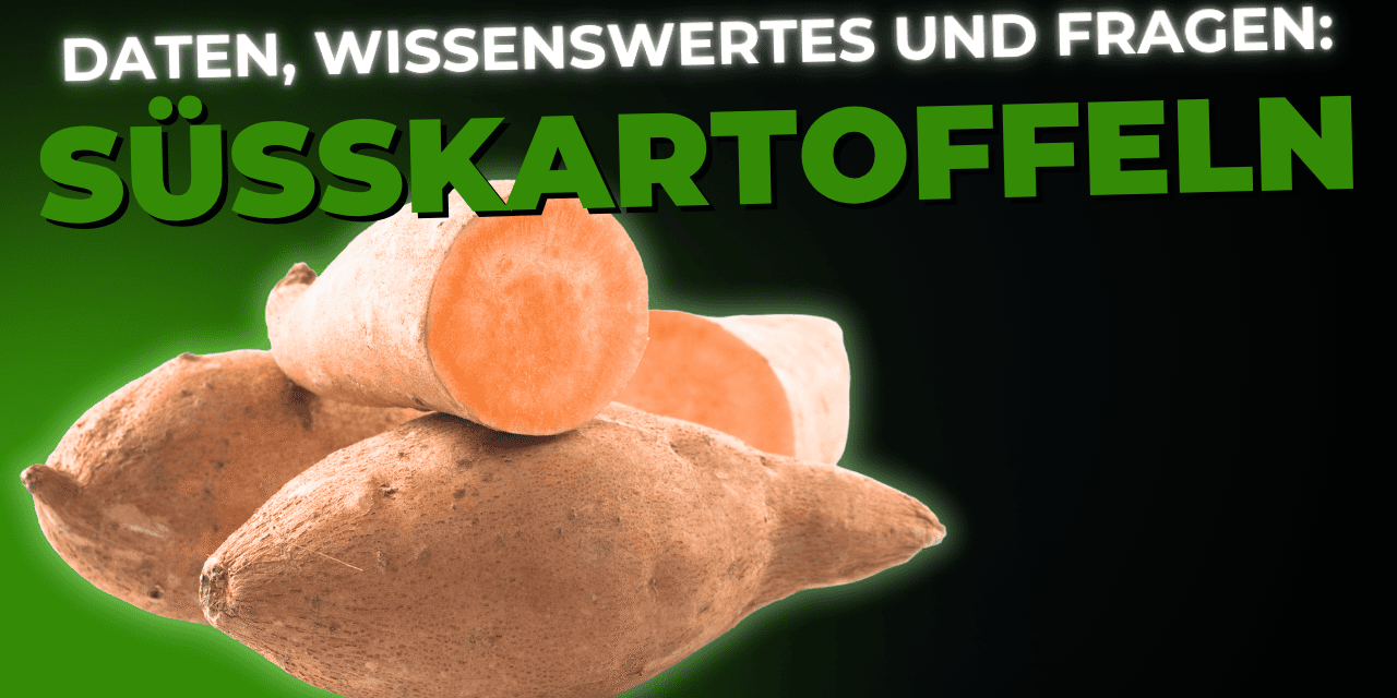 Lebensmittel-Wissen: die Süsskartoffel
