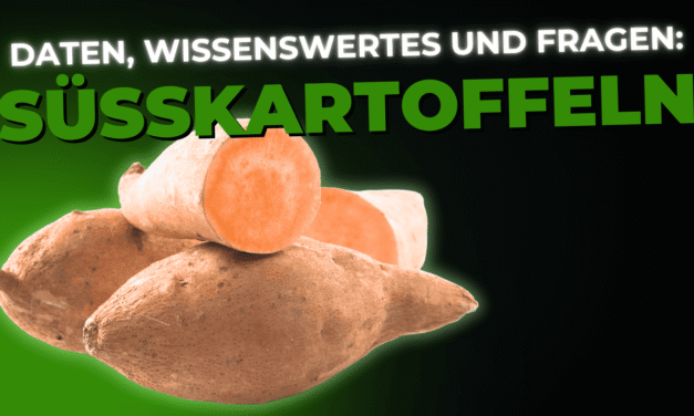 Lebensmittel-Wissen: die Süsskartoffel