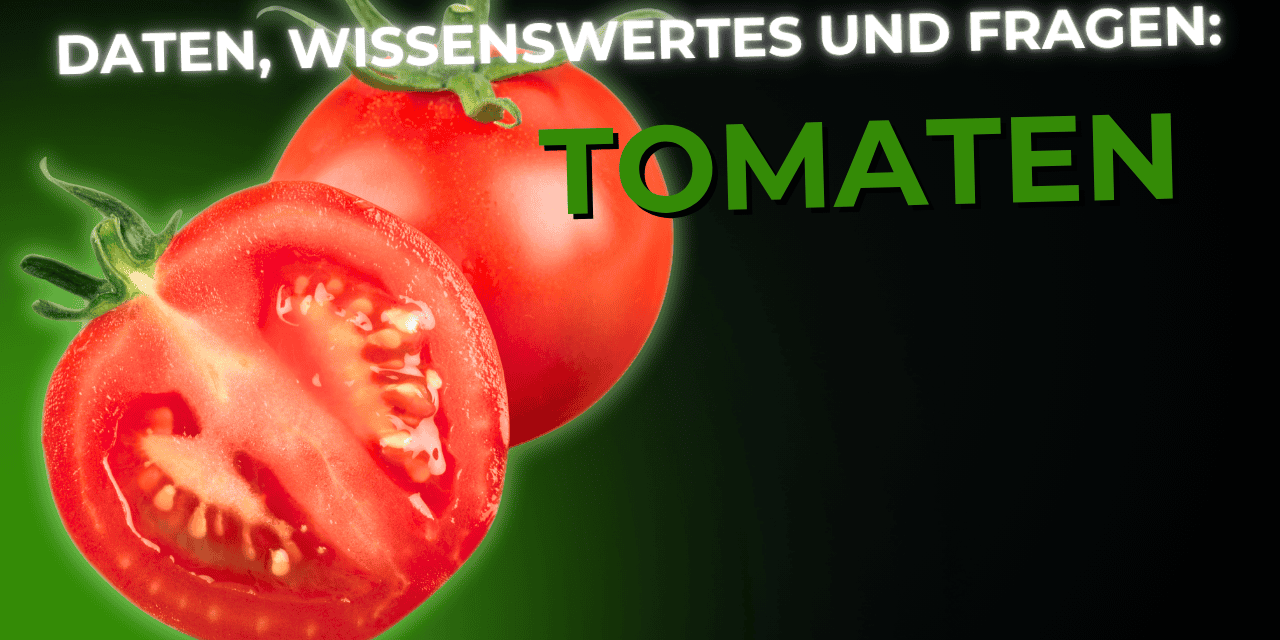 Lebensmittel-Wissen: Tomaten