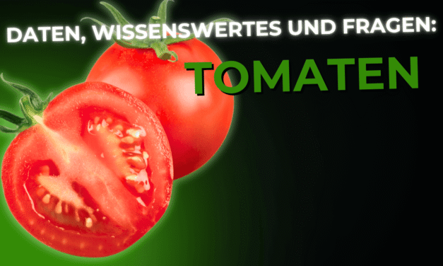 Lebensmittel-Wissen: Tomaten