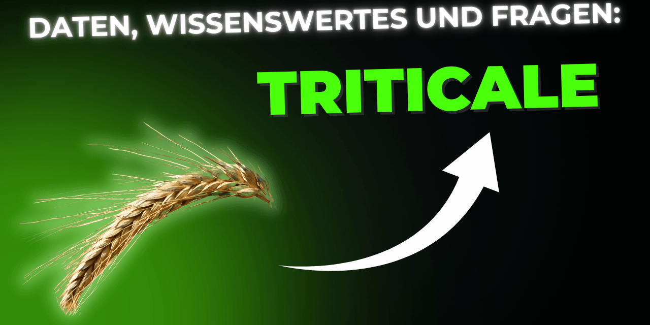 Lebensmittel-Wissen: Triticale