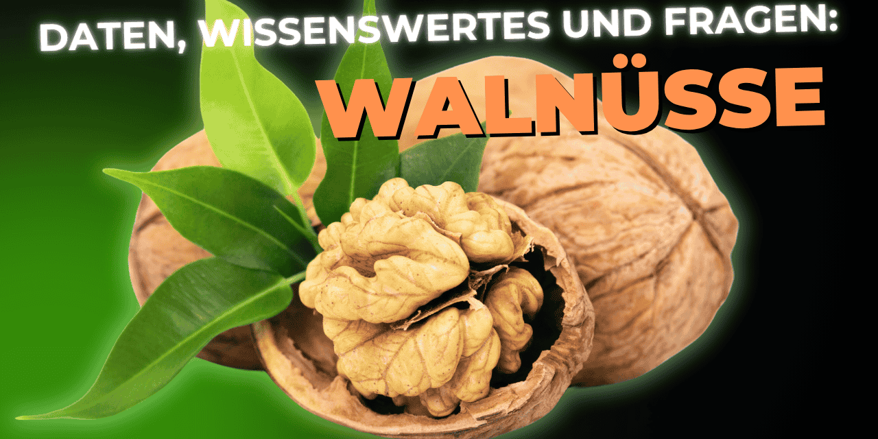 Lebensmittel-Wissen: die Walnuss