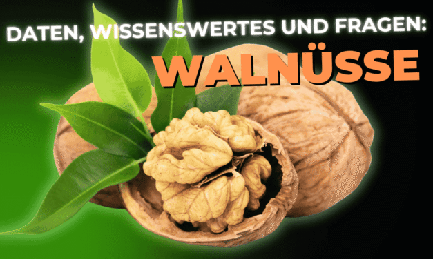 Lebensmittel-Wissen: die Walnuss