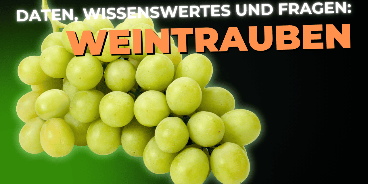 Lebensmittel-Wissen: Weintrauben