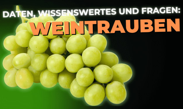 Lebensmittel-Wissen: Weintrauben