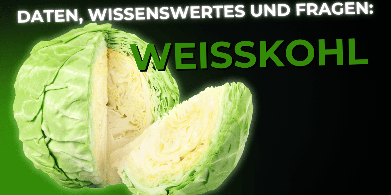 Lebensmittel-Wissen: der Weisskohl