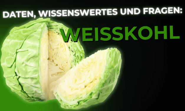 Lebensmittel-Wissen: der Weisskohl