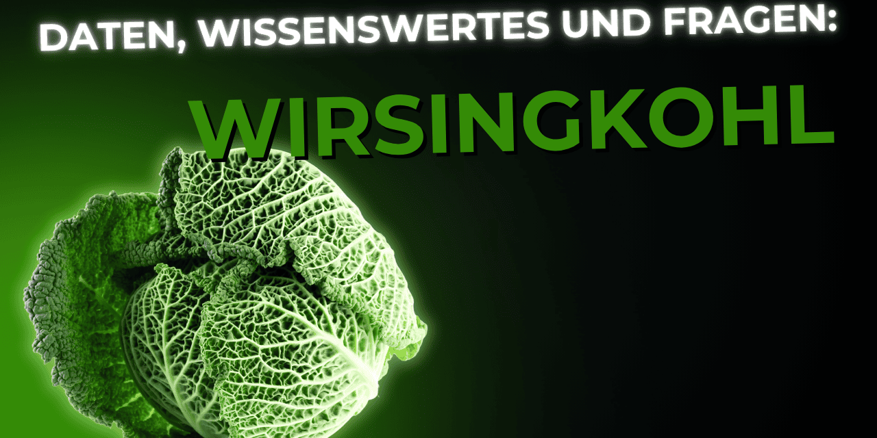 Lebensmittel-Wissen: Wirsingkohl