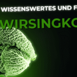 Lebensmittel-Wissen: Wirsingkohl