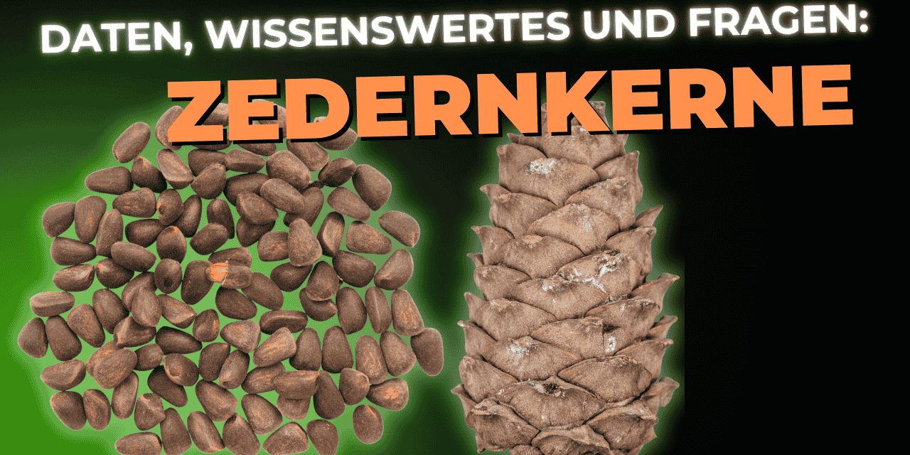 Lebensmittel-Wissen: Zedernkerne