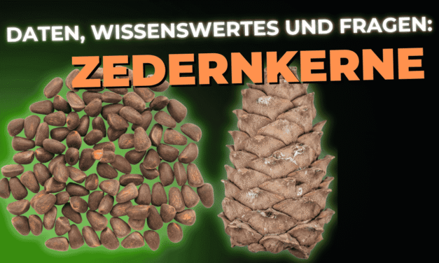 Lebensmittel-Wissen: Zedernkerne