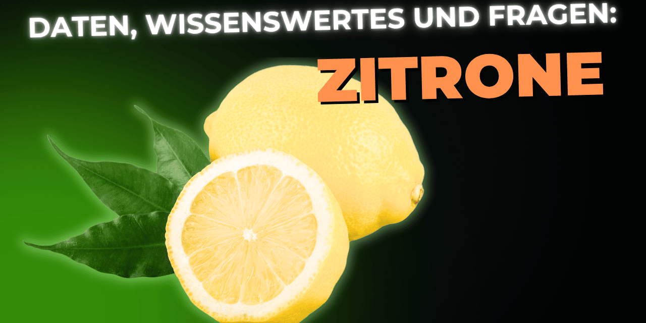 Lebensmittel-Wissen: die Zitrone