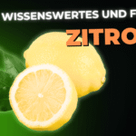 Lebensmittel-Wissen: die Zitrone