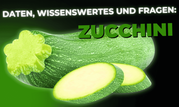 Lebensmittel-Wissen: Zucchini