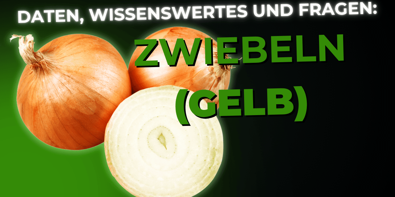 Lebensmittel-Wissen: Zwiebel Gelb