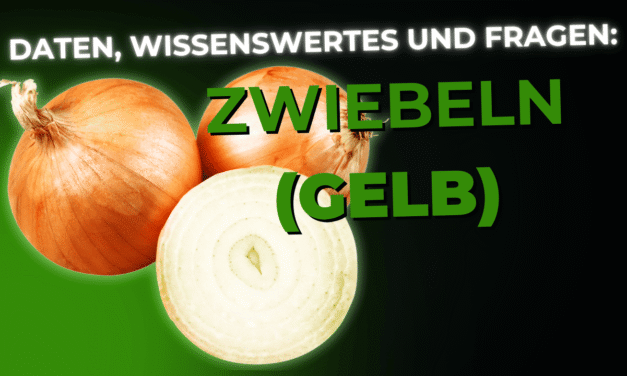 Lebensmittel-Wissen: Zwiebel Gelb