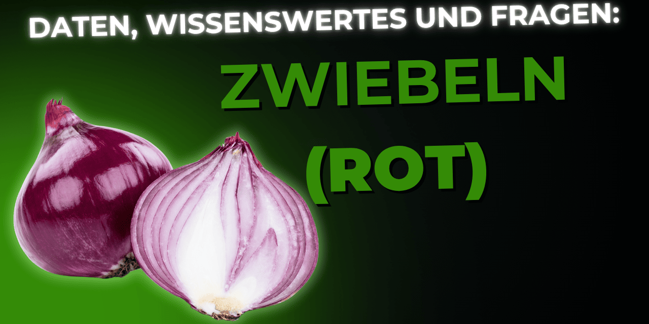 Lebensmittel-Wissen: Zwiebel Rot