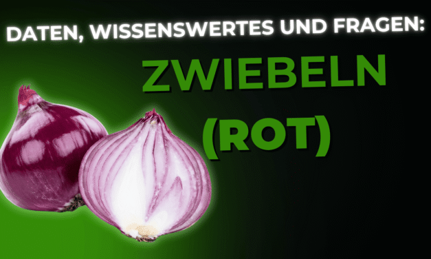 Lebensmittel-Wissen: Zwiebel Rot