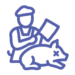 derMarktleiter Icon Schlachtung