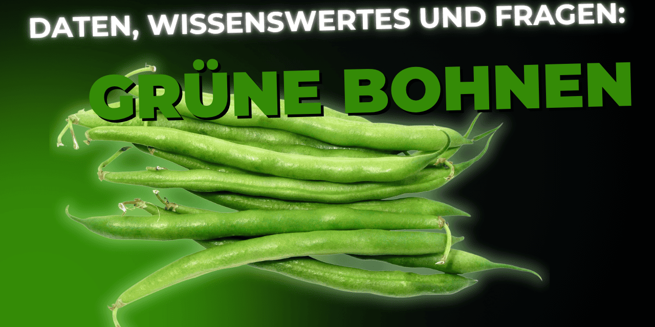 Lebensmittel-Wissen: Grüne Bohnen