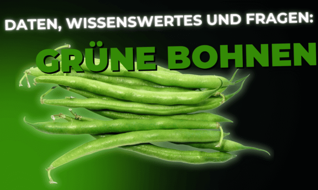 Lebensmittel-Wissen: Grüne Bohnen