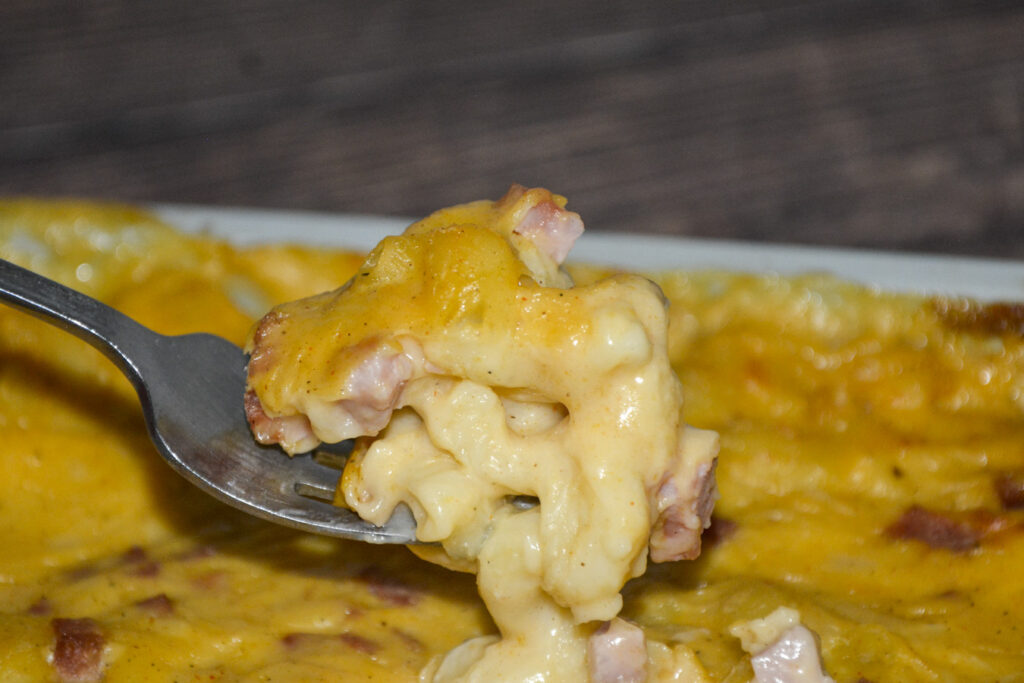 Aldi Trader Joe´s® Mac & Cheese Ham 2025 aufgegabelt