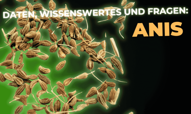 Lebensmittel-Wissen: Anis