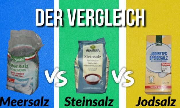 Der Vergleich: Steinsalz vs. Jodsalz vs. Meersalz