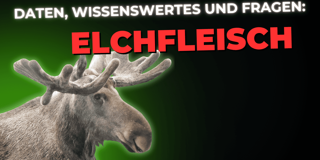 Lebensmittel-Wissen: Elchfleisch