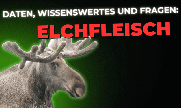 Lebensmittel-Wissen: Elchfleisch