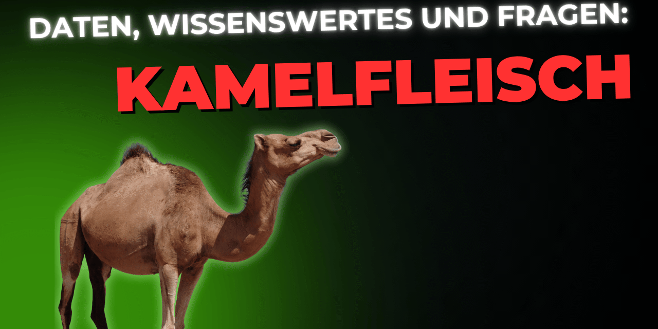 Lebensmittel-Wissen: Kamelfleisch