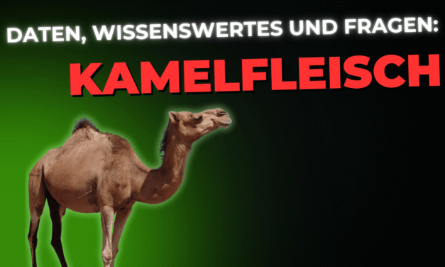 Lebensmittel-Wissen: Kamelfleisch