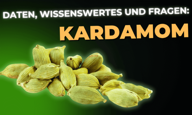 Lebensmittel-Wissen: Kardamom