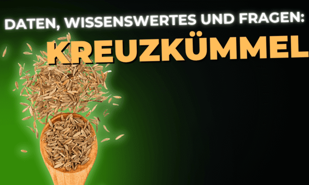 Lebensmittel-Wissen: Kreuzkümmel